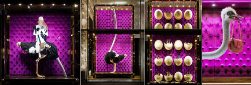 Ovos de avestruz eclodem na vitrine da Louis Vuitton Bond St.