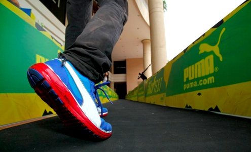 PPR, Puma