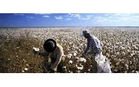 印度棉商欢迎政府扩大棉花出口额度