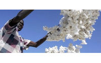 全球2011/12年度棉花产量料超过消费量