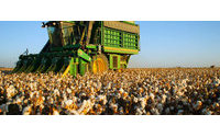Brasil discute a escassez de algodão