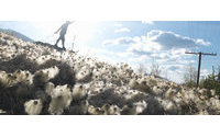 美国 Gap 公司预期受益于棉花大丰收
