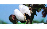 Cotton futures surge on USDA supply report