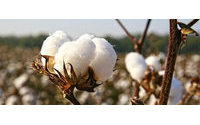 ICE world cotton contract on track for launch this year