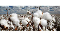 Auctions shift only fraction of China's huge cotton stockpile