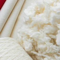 Se contrae la producción de lana en Argentina durante enero de 2024