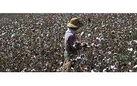 ICE cotton eases; heads for weekly loss amid China demand worry