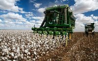 Preços do algodão brasileiro resistem à pressão no início de maio