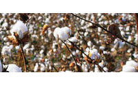 NY cotton up on encouraging US data