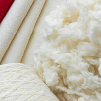 Se busca instaurar una nueva planta de lana en la provincia argentina de Santa Cruz