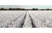 ICE moves closer to launch of long-awaited global cotton contract