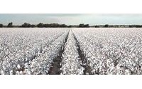 ICE world cotton contract to begin trading in November