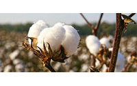 Cotton's surprising bull run to end as China imports slump