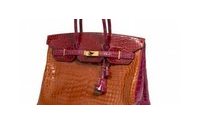 Birkin handbag sells for record 63,800 euros at auction