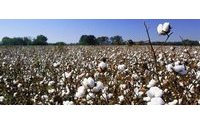 ICE cotton falls, pressured by stronger US dollar, China sales