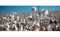 Turkey launches probe of US cotton imports