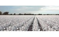 Better Cotton Initiative now has 600 members