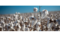 Cotton futures rise on support from grains, stock markets