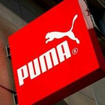 Argentinischer Peso drückt bei Puma auf Jahresbilanz