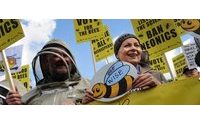 Designers Westwood and Hamnett join campaign to save bees