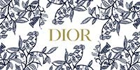 dior recrutement alternance