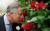 Príncipe de Gales lança primeiro perfume com sensações e sentidos da Highgrove House