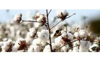 China cotton imports drop by over a quarter in June