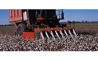 ICE cotton rises on expectations of bullish USDA report
